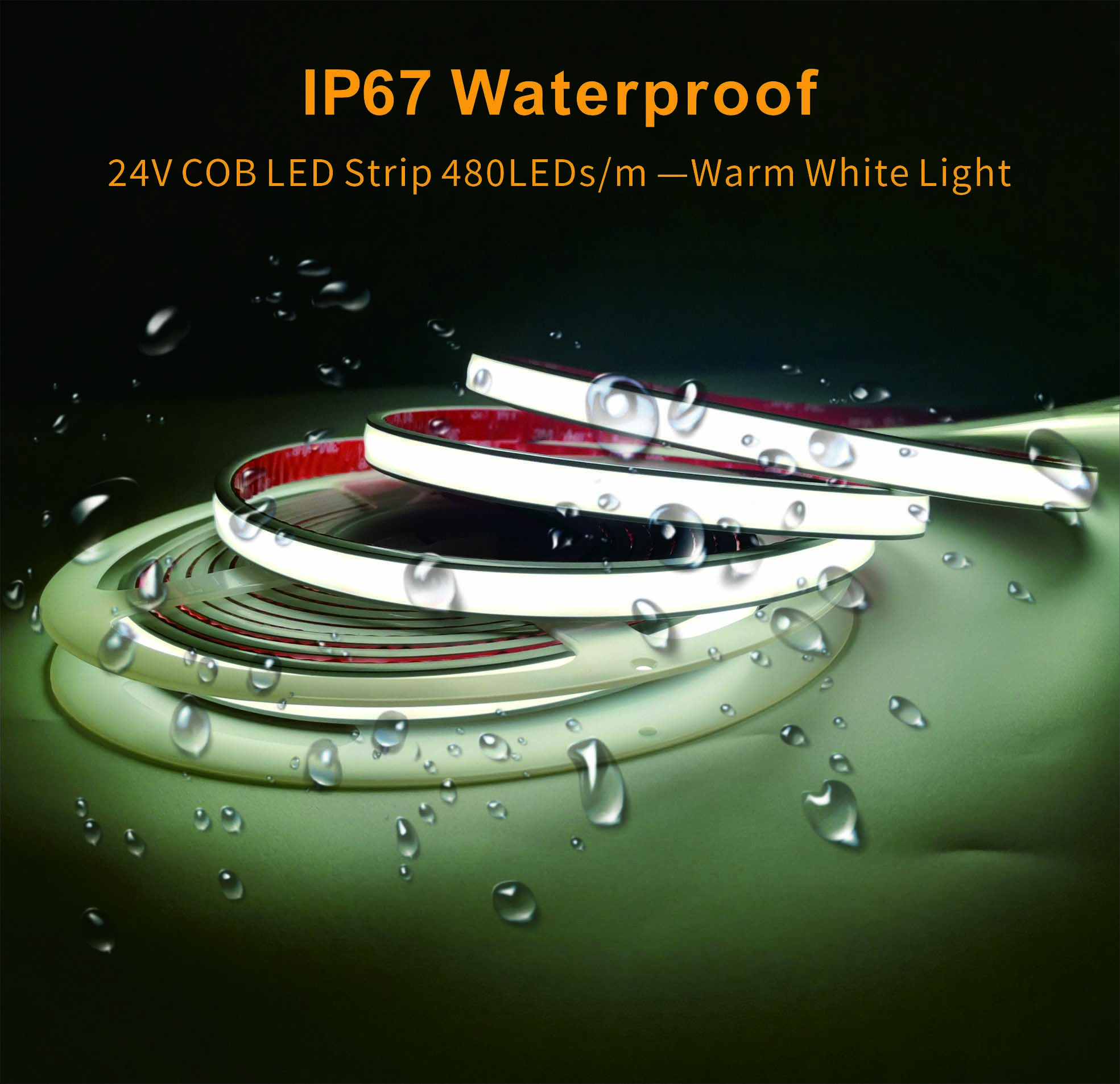 豪门国际官网-追求康健,你我一起开展