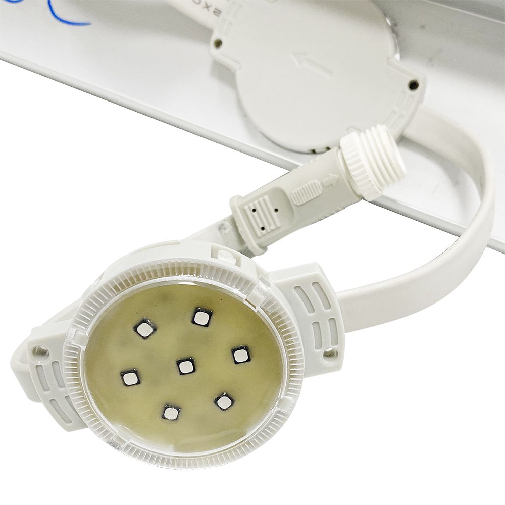 豪门国际官网-追求康健,你我一起开展